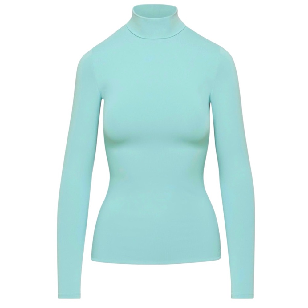 Aritzia NWT Long-sleeve Contour Turtleneck Size Small